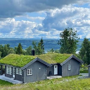 Bergestua - 4 Bedroom Cabin Golsfjellet Exterior photo