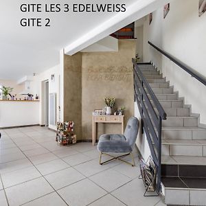 Les 3 Edelweiss - Gite 1 Ou Gite 2 Арет Exterior photo