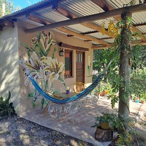 Bed and Breakfast Surya- En La Casa De Nanda Сан-Хавьер Exterior photo