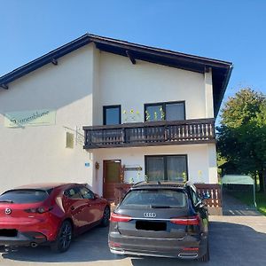 Отель Die Sonnenblume Санкт-Канциан Exterior photo