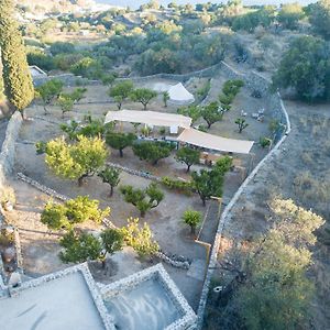 Perivoli A Traditional Eco-Accommodation In A Private Cultivated Garden Mandraki  Exterior photo