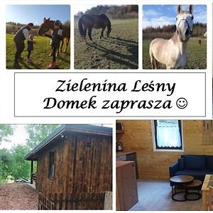 Вилла Zielenina Lesny Domek Mierzeszyn Exterior photo