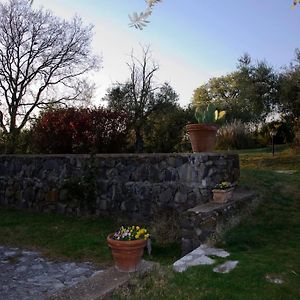 Villa Prato Amato Montemaggiore  Exterior photo