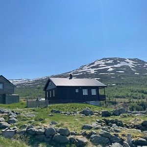 Апартаменты Bjorgo Gard - Stegastein Эурланн Exterior photo