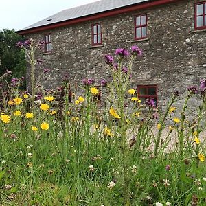 Вилла The Old Mill, Kilcorkey, Bellanagare, Castlerea, County Roscommon - West Of Ireland -House 1 Exterior photo