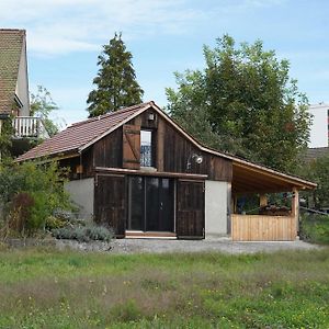 Tiny House Chez Claudine With Garden, Workspace, Netflix, Free Parking & Wifi Бругг Exterior photo