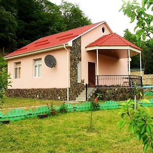 Guliyev Home Гах Exterior photo