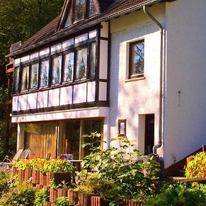 Ferienwohnung Chalet Wiedfluh In Waldbreitbach Exterior photo