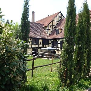 Отель Domaine Du Moulin Im Elsass Бишвиллер Room photo