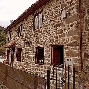 Las Monas Casa Rural Пола-де-Лена Exterior photo