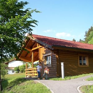 Вилла Blockhaus Hedwig Stamsried Exterior photo