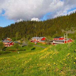 Отель Gronolen Fjellgard Beitostolen Exterior photo