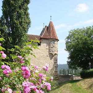 Отель Weingut Gaestehaus Weigand Ипхофен Exterior photo