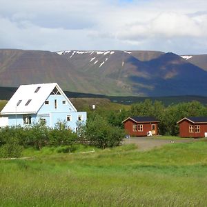 Guesthouse Petursborg Акурейри Exterior photo