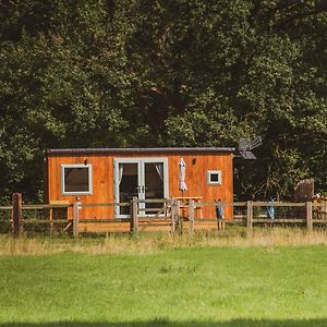 Отель The Hideaway At Hiddenwood Glamping Corsley Exterior photo