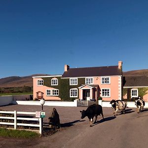 Murphys Farmhouse B&B Каслмейн Exterior photo