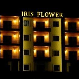 Iris Flower Hotel Джеззин Exterior photo