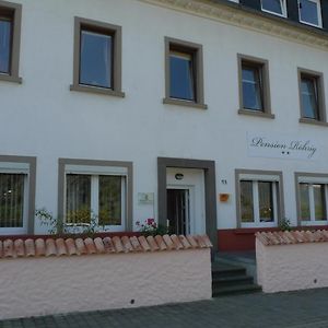 Отель Pension Roehrig Hirzenach Exterior photo