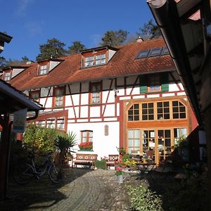 Gaestehaus Pfefferle Hotel Garni Und Ferienwohnungen Зигмаринген Exterior photo