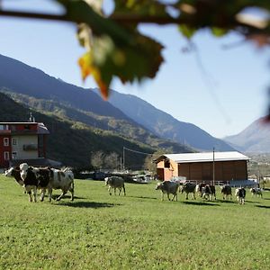 Гостевой дом Agriturismo Stella Orobica Albosaggia Exterior photo