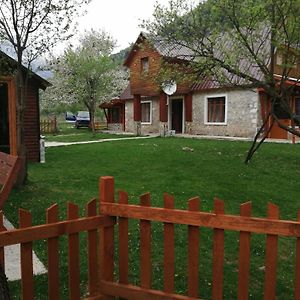 Bed and Breakfast Bujtina Pllumi Тети Exterior photo