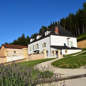 Отель Le Domaine De La Source Chauffailles Exterior photo