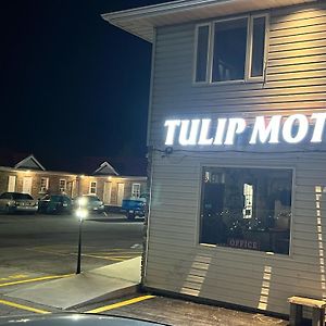 Tulip Motel Вудсток Exterior photo