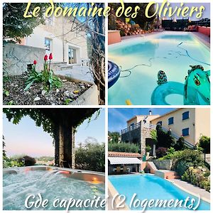 Апартаменты Le Domaine Des Oliviers Ales Piscine Jacuzzi Sauna Exterior photo