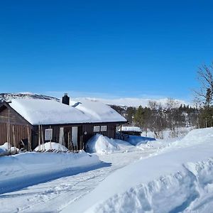 Вилла Hytte I Naturskjonne Javnlie Skammestein Exterior photo