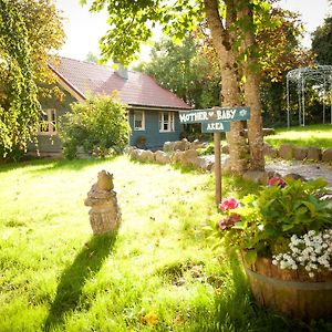 Bed and Breakfast Slieve Aughty Centre Лохрей Exterior photo