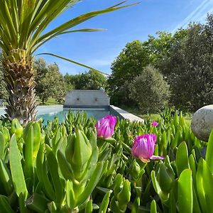 Bed and Breakfast Pigeonnier Des Banons Puimoisson Exterior photo