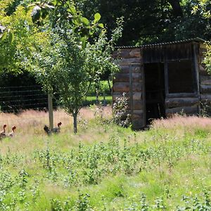 Вилла Ecogite Rural La Cle Des Champs Peyrelongue-Abos Room photo