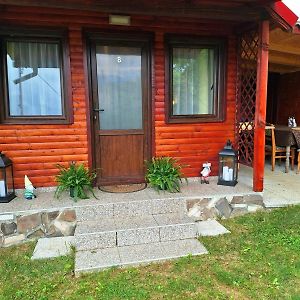 Отель Chalet Tinelu Brasov Сэчеле Exterior photo