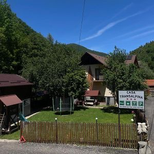 Pensiunea Casa Transalpina Шугаг Exterior photo