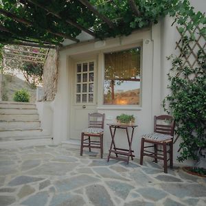 Апартаменты Countryside Nest I Naxos Naxos City Exterior photo