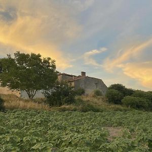 Вилла La Chaumiere Salles-Lavalette Exterior photo