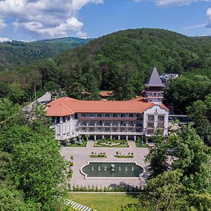 Verkhovyna Resort Medical & Wellness Каменица Exterior photo