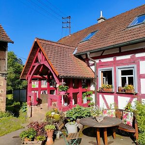 Апартаменты Schlaf Mal Im Denkmal Birstein Exterior photo