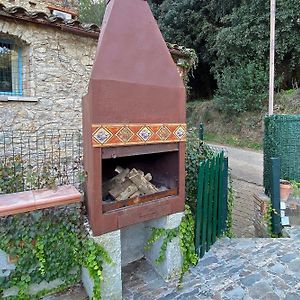 Casa Con Encanto En El Bosque Y A 10 Min De Girona Celra Exterior photo