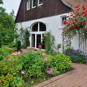 Отель Gaestehaus Alte Liebe Borgholzhausen Exterior photo