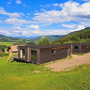 4 Star Holiday Home In Gaal Im Murtal Pirkach Exterior photo