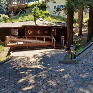 Вилла Redwood Retreat Walk To Downtown Mt Tam Muir Woods Милл-Вэлли Exterior photo