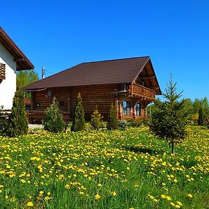 Отель Pensiunea Lacul Mocearu Budesti  Exterior photo