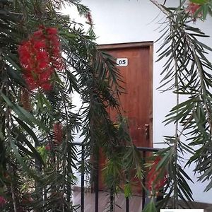 Отель Travelnest Бадулла Exterior photo