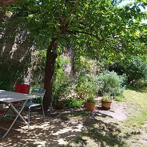 Апартаменты Le Petit Passage, Jardin Et Loire A Velo Ансени Exterior photo