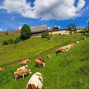 Апартаменты Bio-Peisingerhof Sankt Stefan ob Leoben Exterior photo