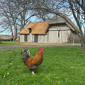 Bed and Breakfast Le Domaine Caribou Sainte-Opportune-la-Mare Exterior photo