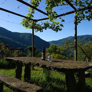 Апартаменты Wild Valley Garden Paradise In Valle Onsernone Auressio Exterior photo