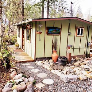 Вилла Mt Rainier Little Green Cabin On Big Creek! Эшфорд Exterior photo