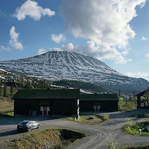 Апартаменты Laegenhet Med Utsikt Mot Gaustatoppen, Ski In Ski Out Gaustablikk Exterior photo